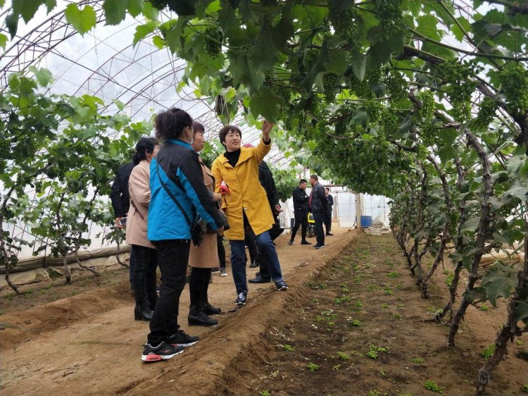 阜新市出台柔性引才新政