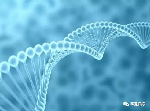 名师点拨助昭通高考⑮丨昭一中刘莹：冲刺阶段生物复习方法