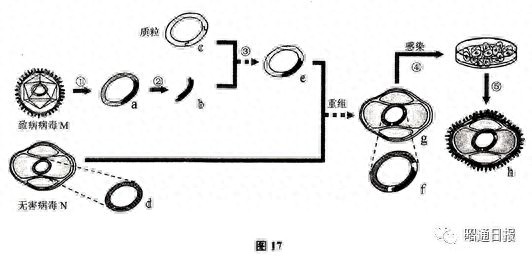 名师点拨助昭通高考⑮丨昭一中刘莹：冲刺阶段生物复习方法