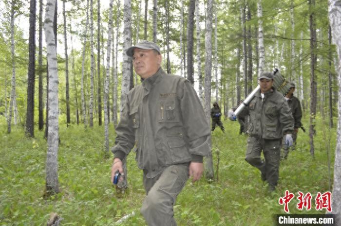 内蒙古大兴安岭的森林医生兼职的小鸟保育员