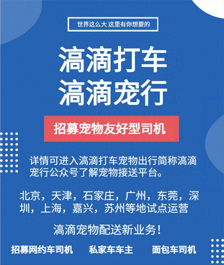 滈滴宠行滈滴打车宠物配送司机招募，客单价高、可兼职极速发展中