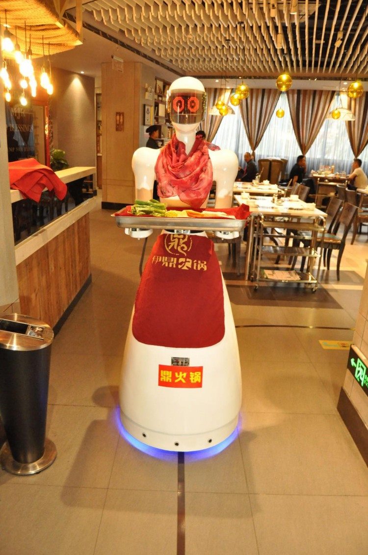会礼貌用语传菜机器人来到拉萨