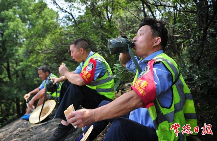 湖南省首个！《常德市生态护林员管理办法》8月1日起施行