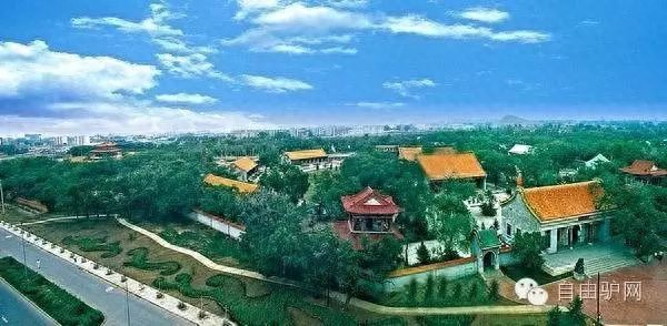 黑龙江丨世界大湿地中国鹤家乡之齐齐哈尔篇