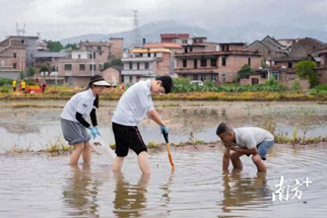 广东“青实计划”启动！选聘在读硕博研究生到基层兼职