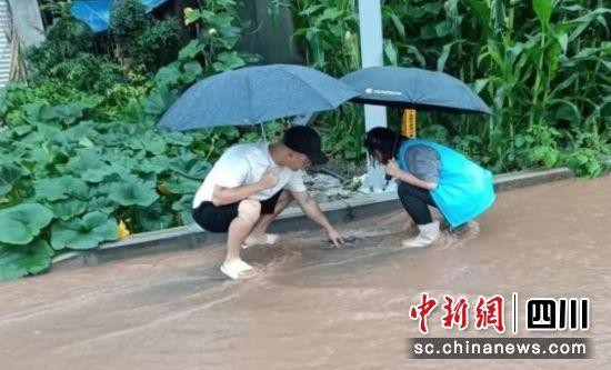 雅安雨城：强降雨中网格员的担当与坚守受赞誉